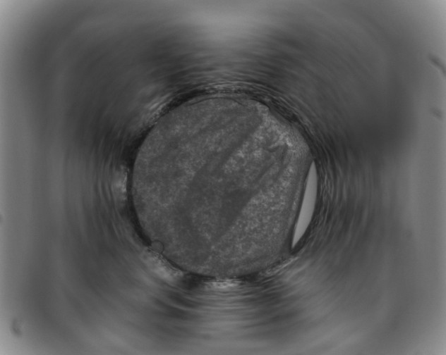 X0000097460668200803141853