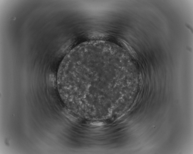 X0000097460669200803141853