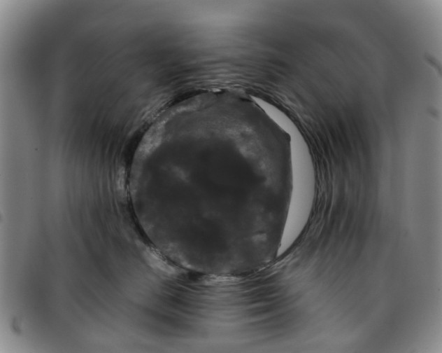 X0000097460670200803141853