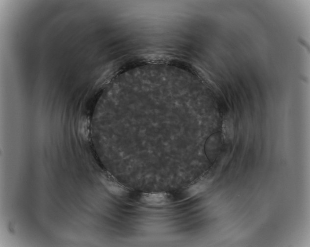 X0000097460671200803141853