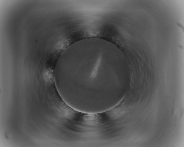 X0000097460672200803141853