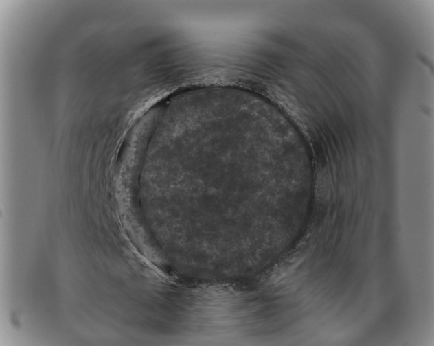 X0000097460673200803141852