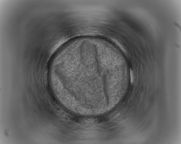 X0000097460675200803141852