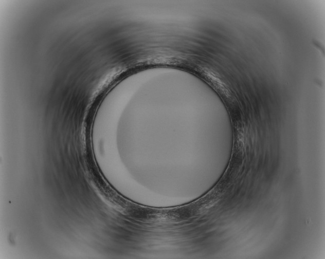 X0000097460678200803141852