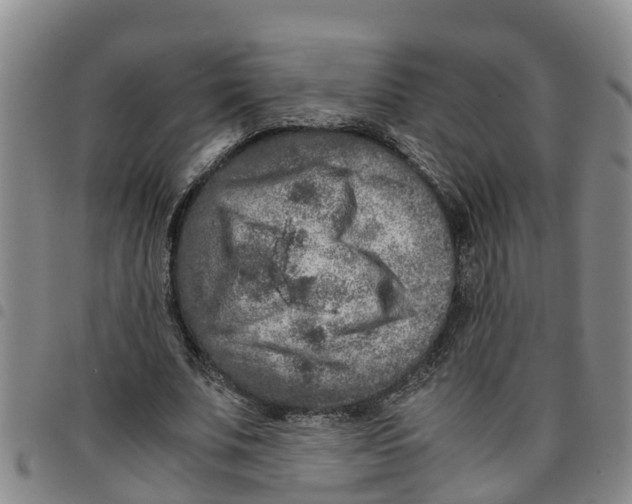 X0000097460679200803141852