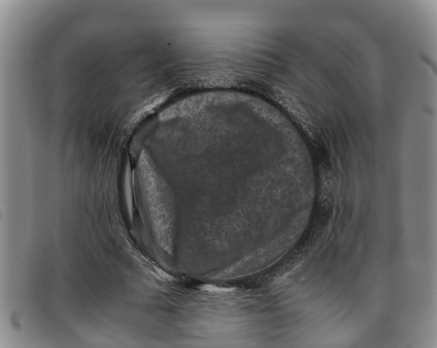 X0000097460681200803141852