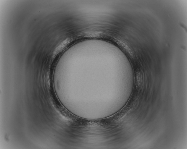 X0000097460682200803141852