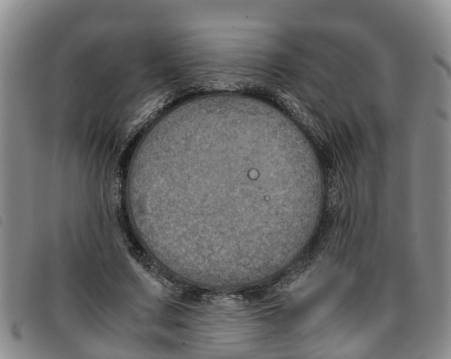 X0000097460683200803141852