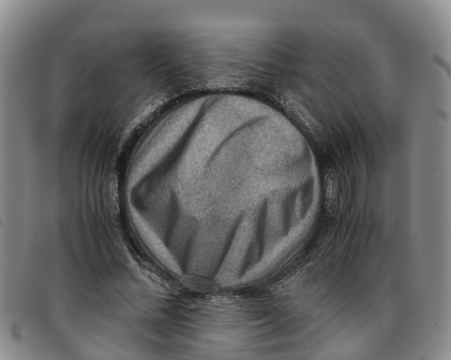 X0000097460684200803141852