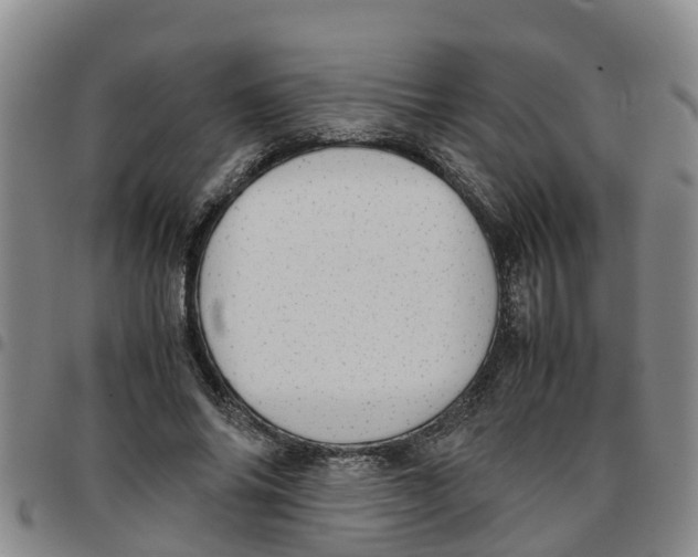 X0000097460686200803141852