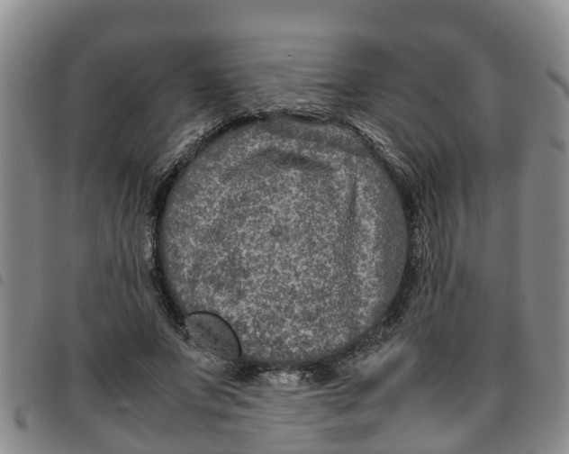 X0000097460687200803141852