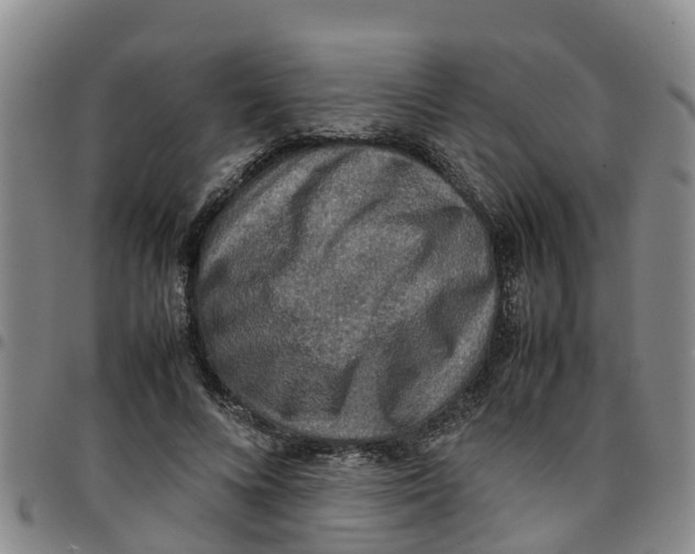 X0000097460688200803141852