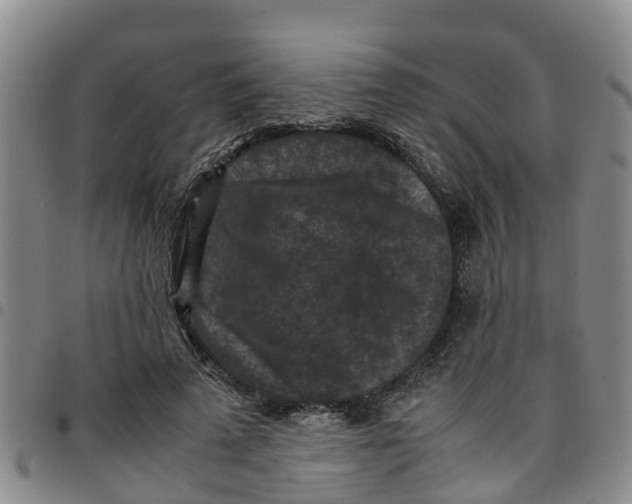 X0000097460689200803141852