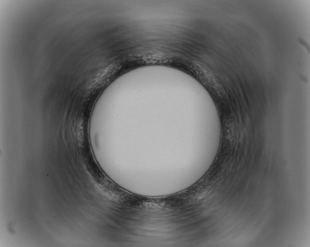 X0000097460690200803141852