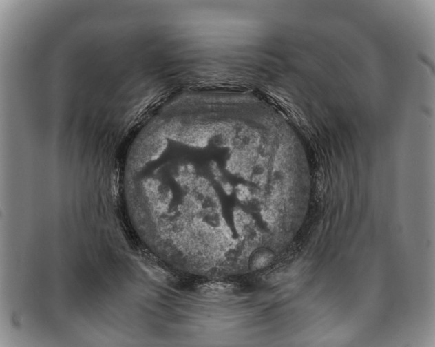 X0000097460691200803141852