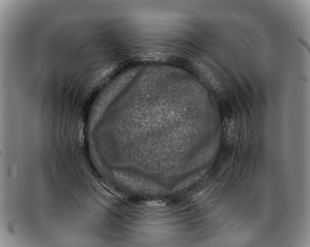 X0000097460692200803141852