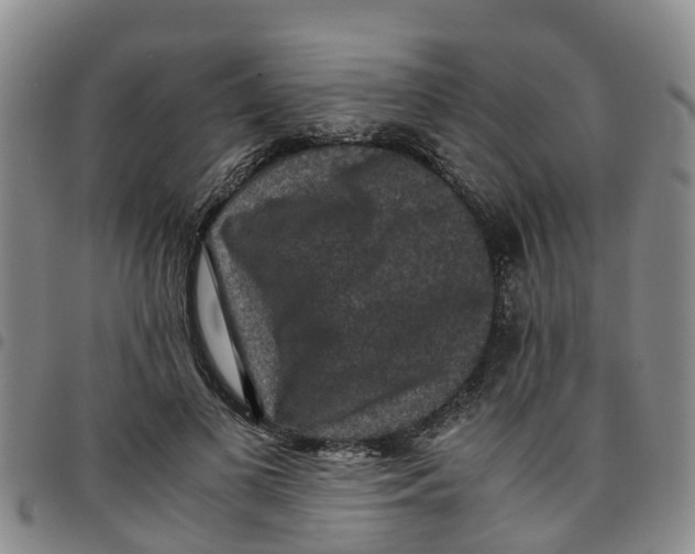 X0000097460693200803141852