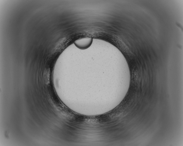 X0000097460694200803141852