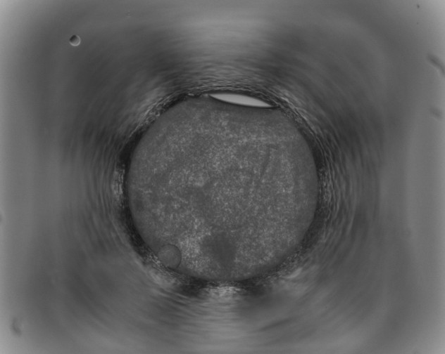 X0000097460695200803141852