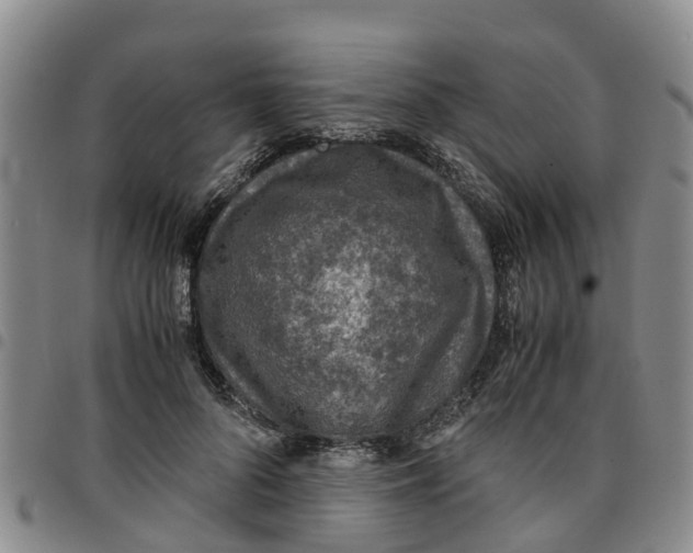 X0000097460696200803141852