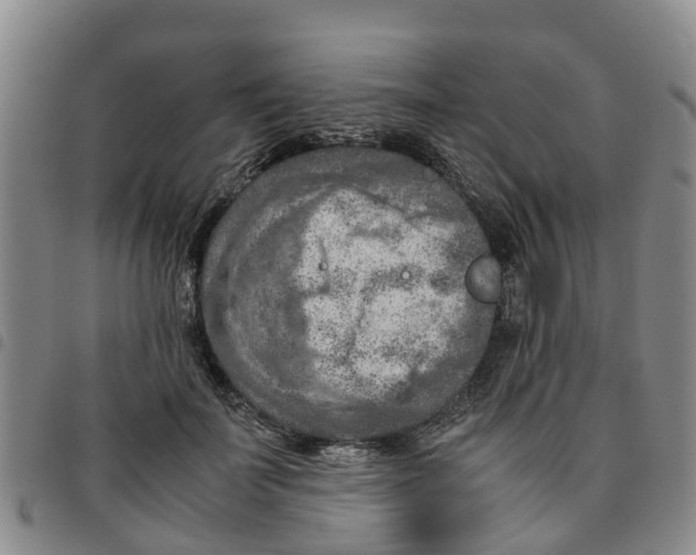 X0000097460699200803141852