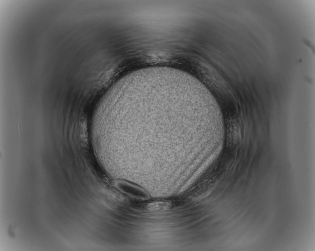 X0000097460700200803141852