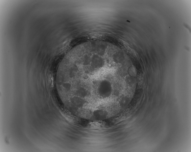 X0000097460703200803141852