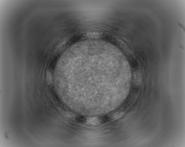 X0000097460705200803141852