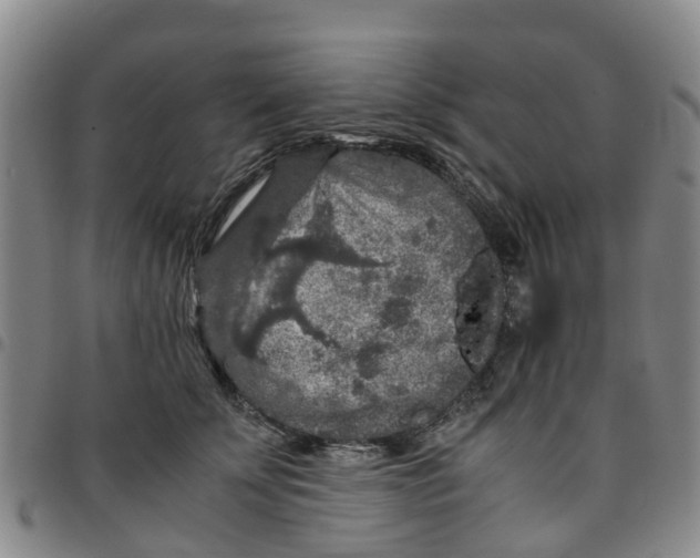 X0000097460707200803141852