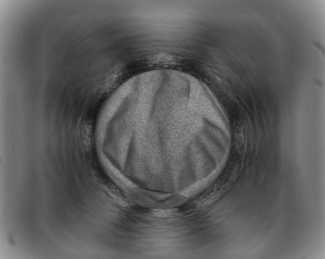 X0000097460708200803141852