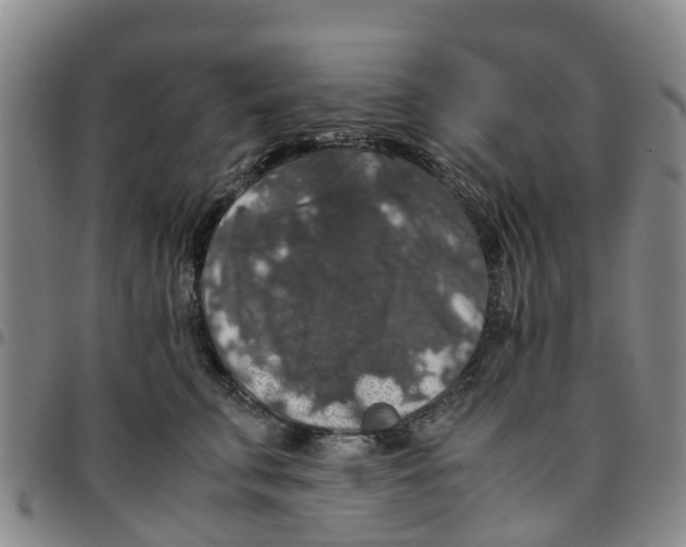 X0000097460711200803141851