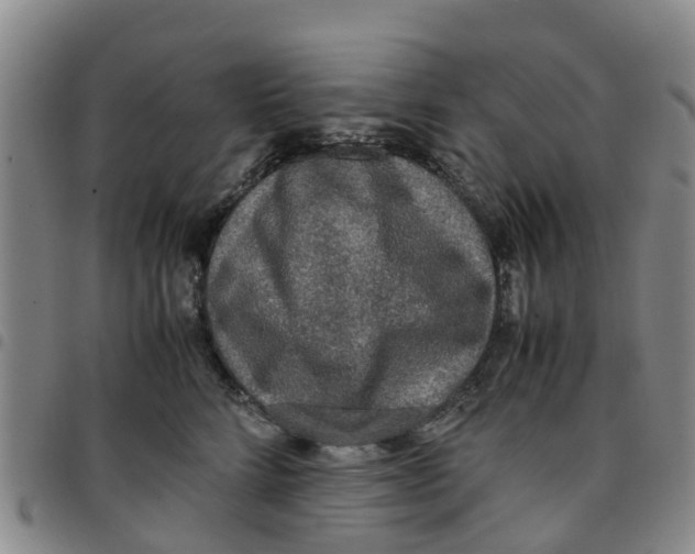 X0000097460712200803141851