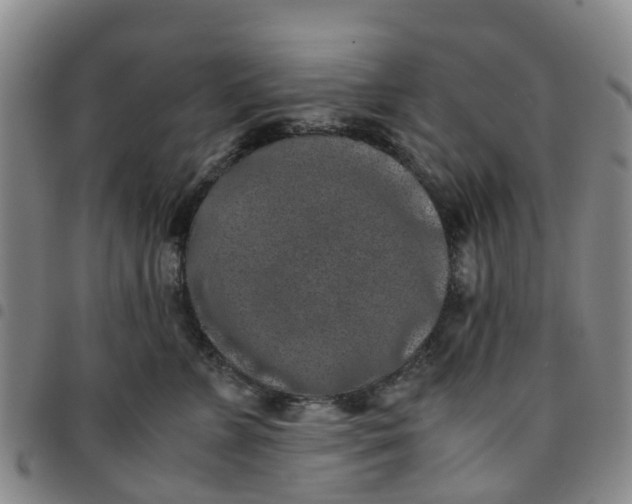 X0000097460715200803141851