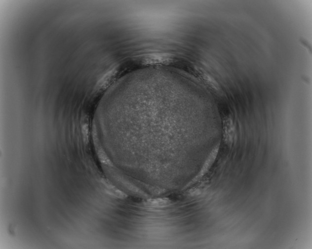 X0000097460716200803141851