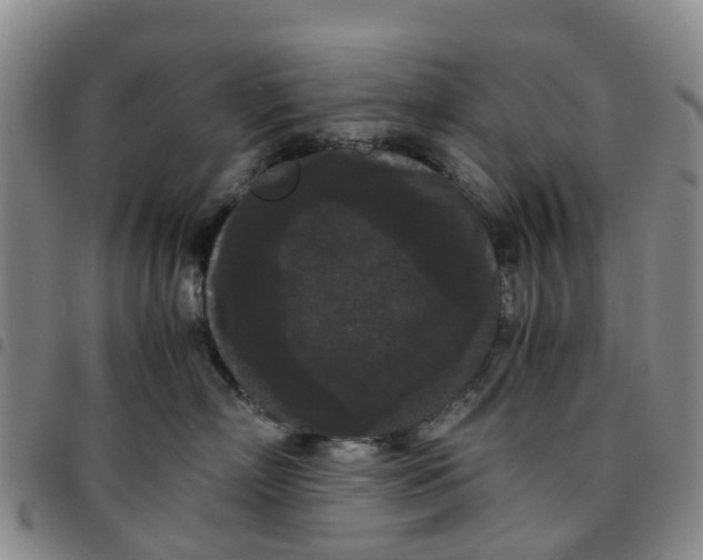 X0000097460718200803141851