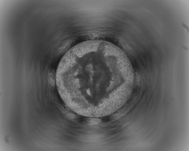 X0000097460719200803141851