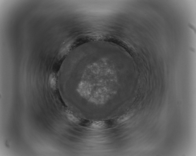 X0000097460720200803141851