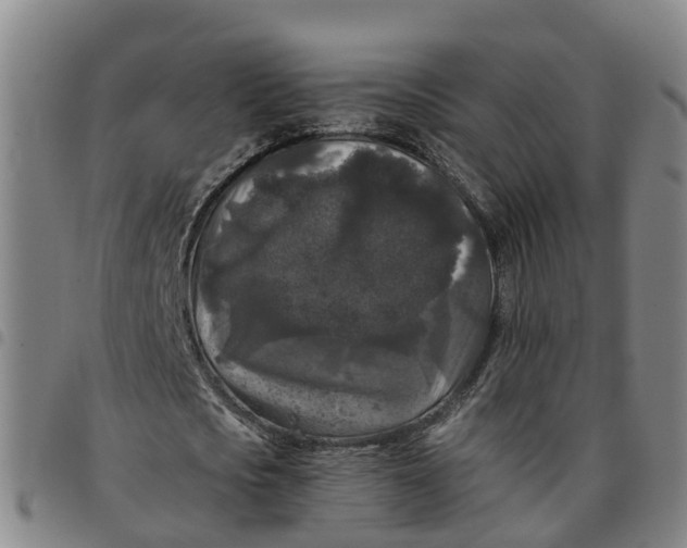 X0000097460721200803141851