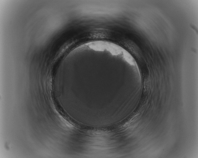 X0000097460722200803141851