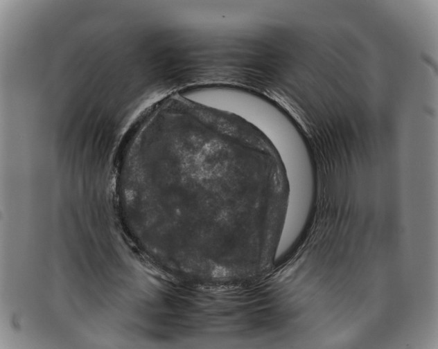 X0000097460723200803141851