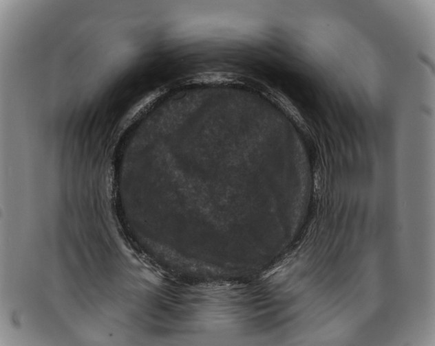 X0000097460724200803141851