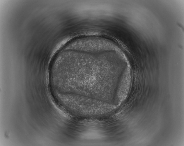 X0000097460726200803141851