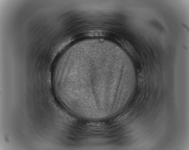 X0000097460727200803141851