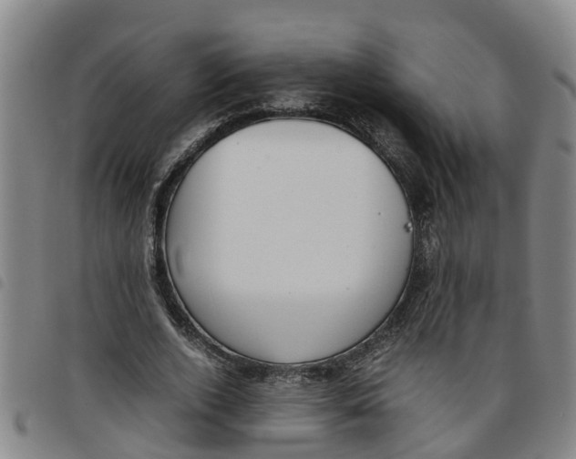 X0000097460728200803141851