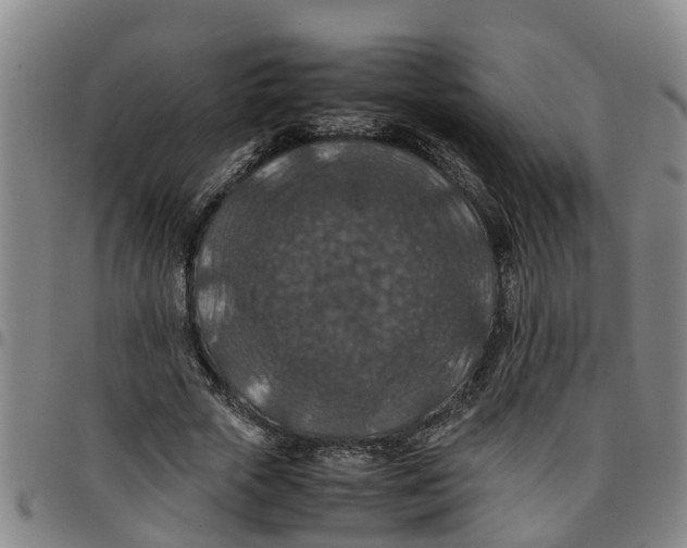 X0000097460729200803141851