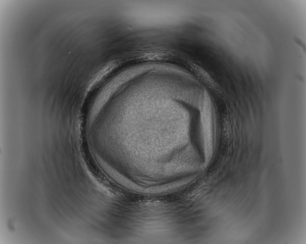 X0000097460730200803141851