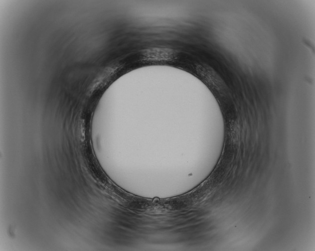 X0000097460731200803141851