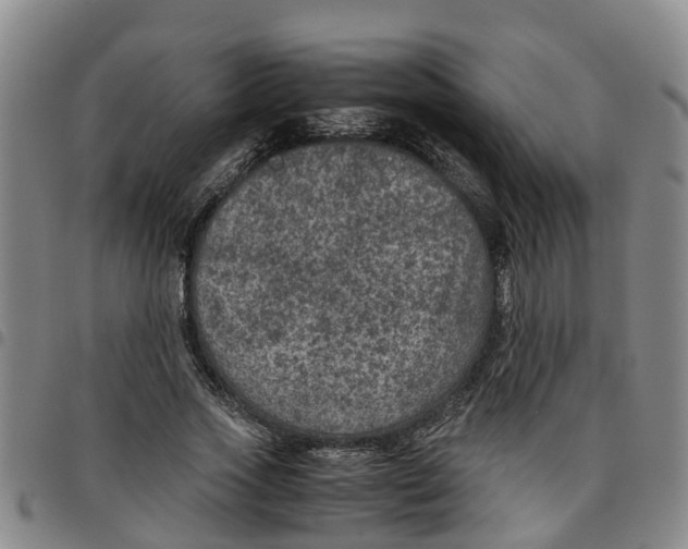 X0000097460733200803141851