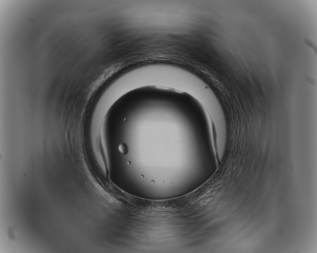 X0000097460734200803141851