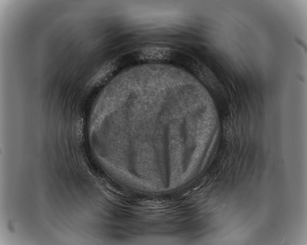 X0000097460735200803141851